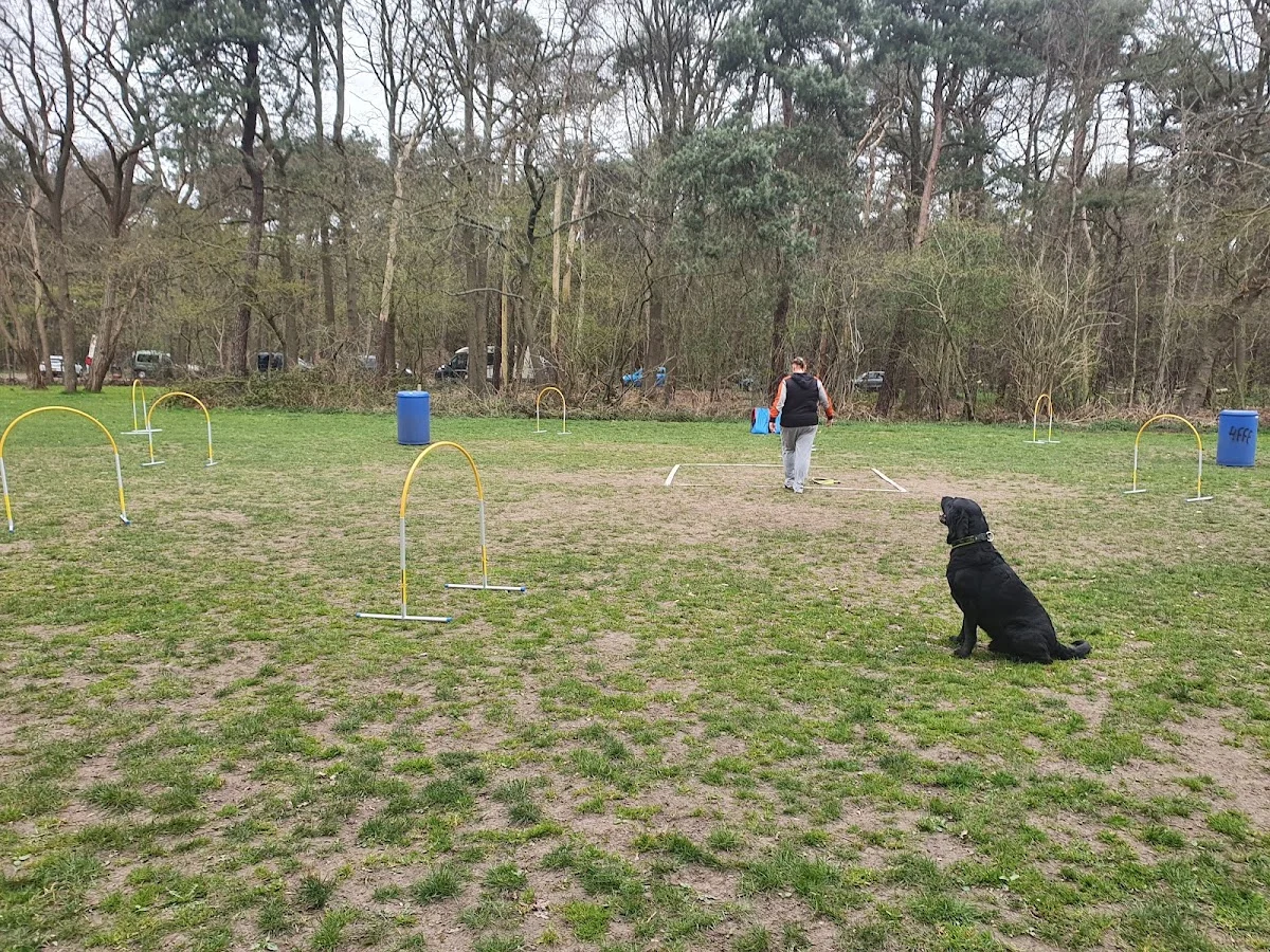 4 Feet For Fun