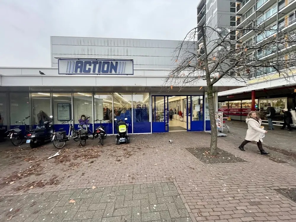 Action Delft