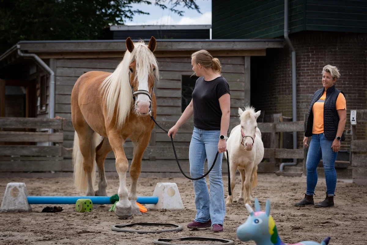Adem in met Paarden - 3