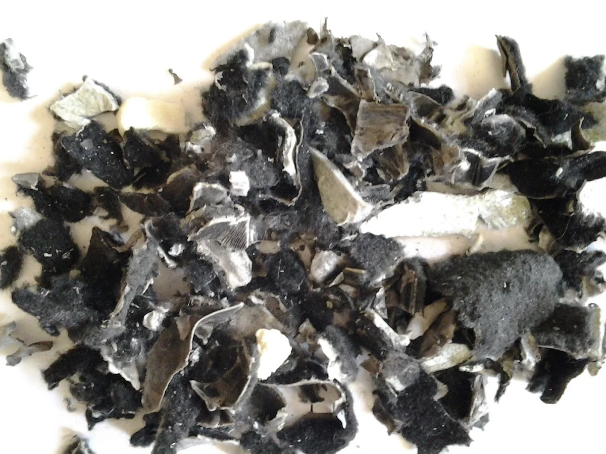 All Weather Tuft - 2