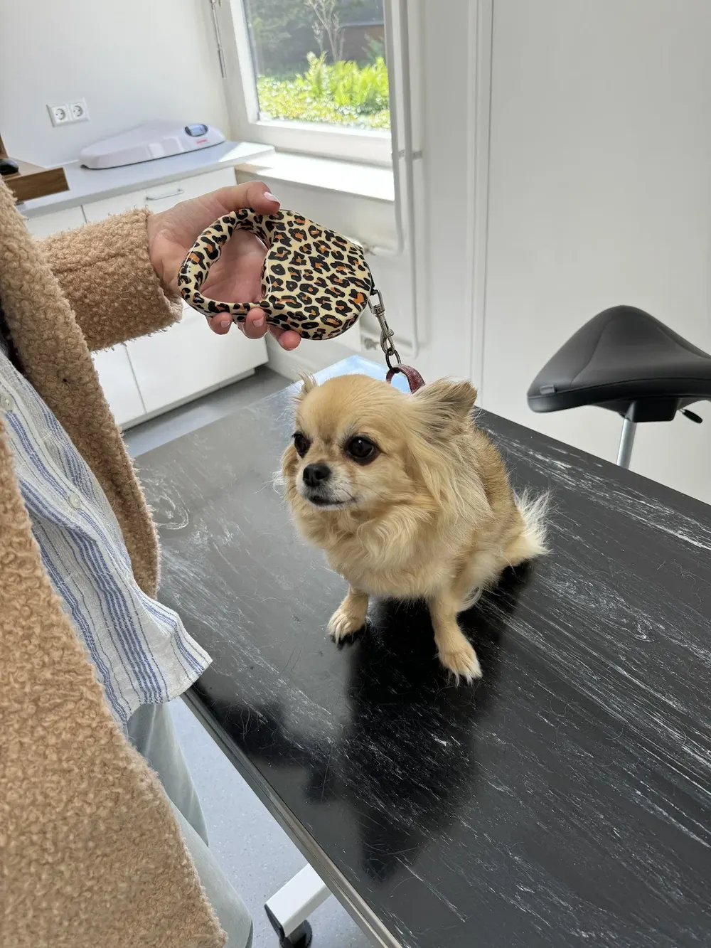 AniCura Dierenkliniek Apeldoorn 🐾