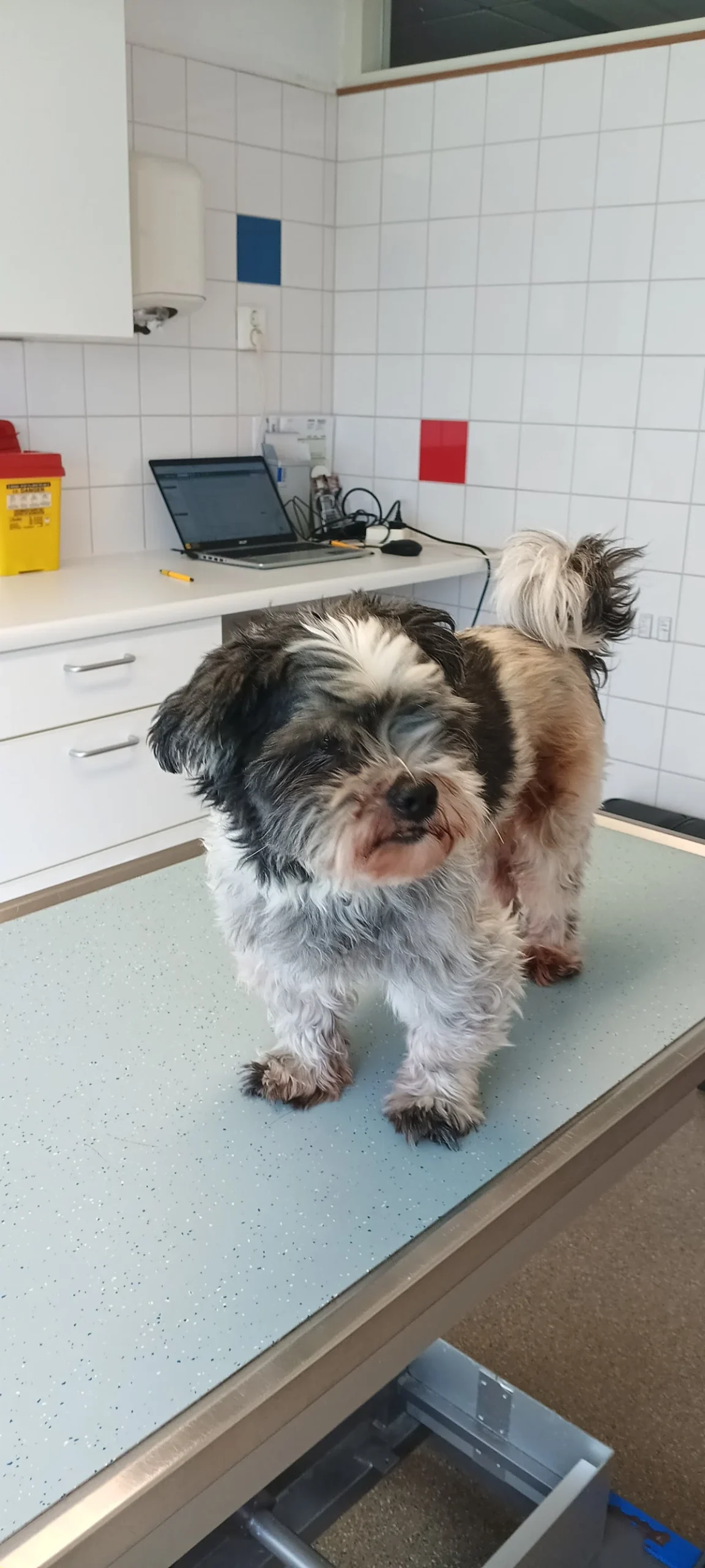 AniCura Dierenkliniek De Waard - Alblasserdam