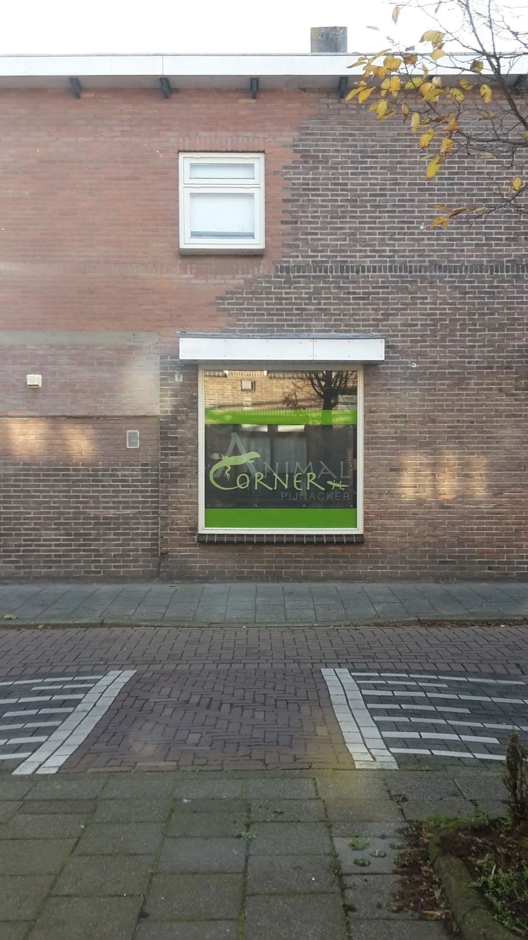 Animal Corner