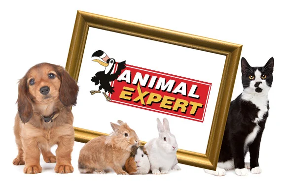 Animal Expert Online Dierenspeciaalzaak