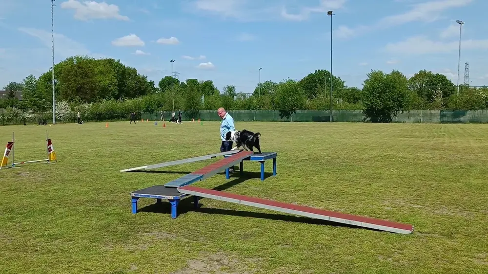 Apeldoornse Kynologen Club - 2