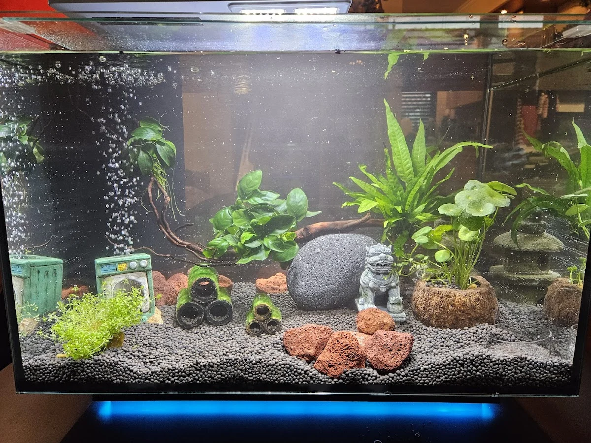 Aquaria Pura