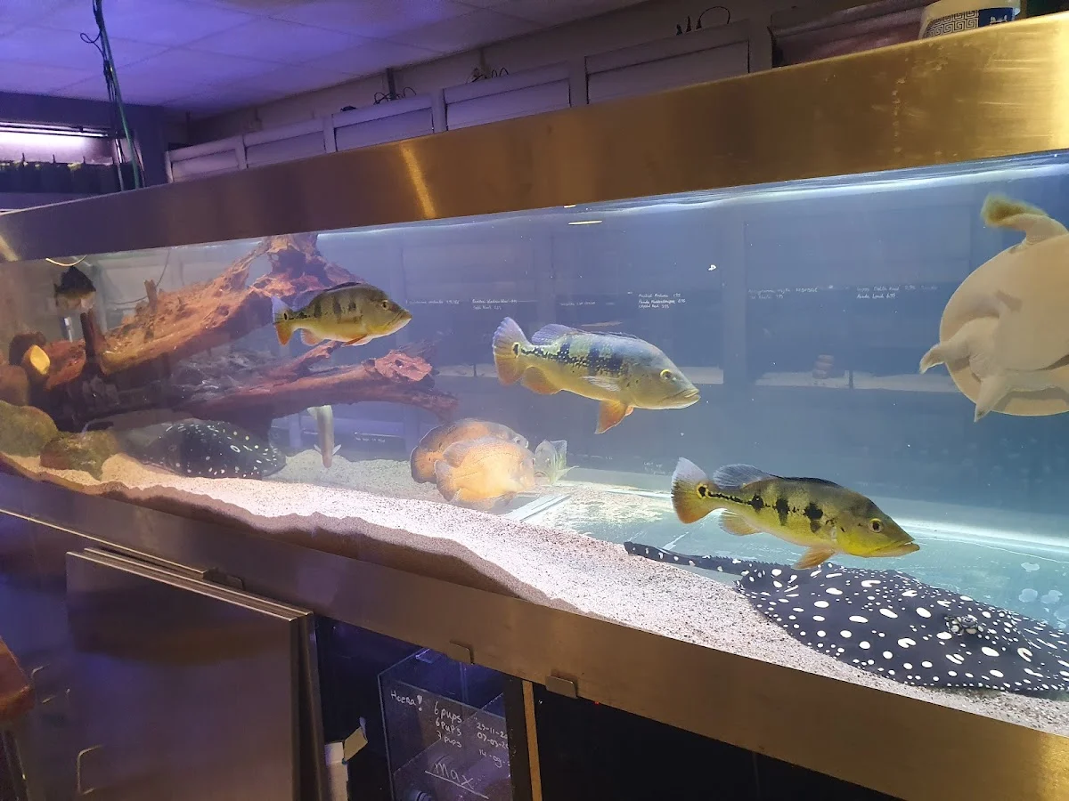 Aquariumspeciaalzaak Dessens - 2