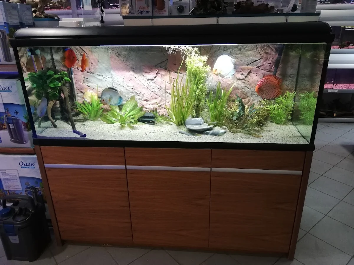 Aquariumspeciaalzaak Dessens - 4