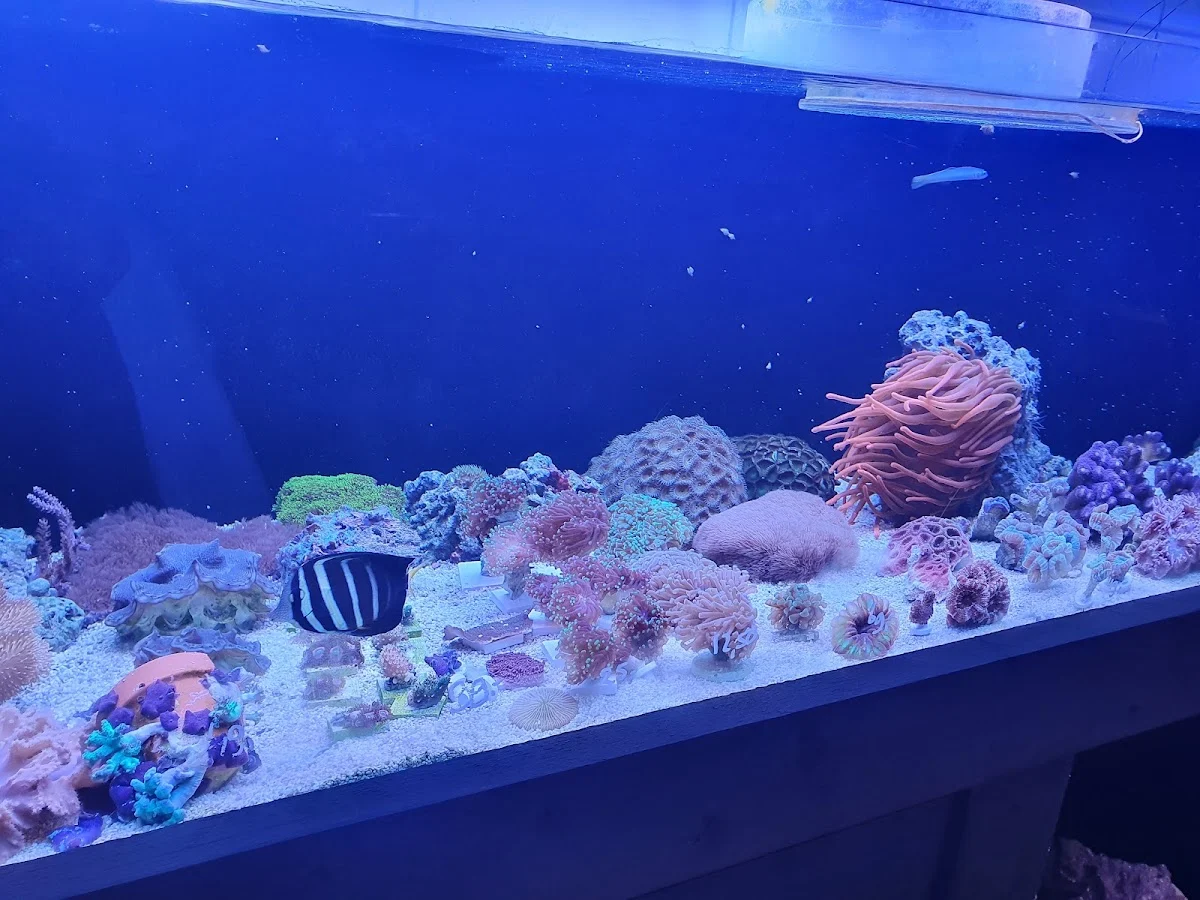 Aquariumspeciaalzaak Dessens - 5