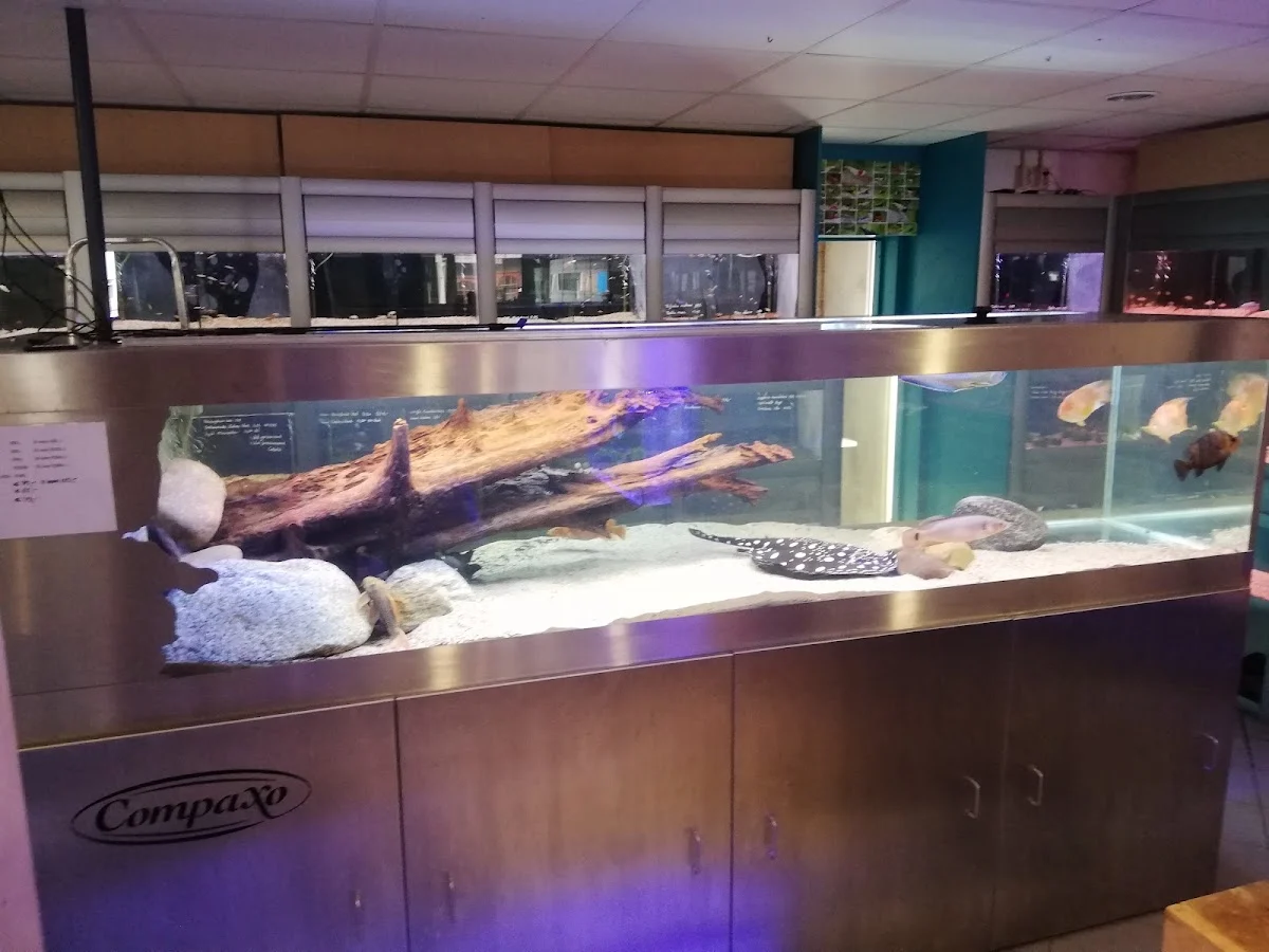 Aquariumspeciaalzaak Dessens - 6