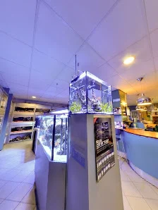 Aquariumspeciaalzaak Dessens - 7