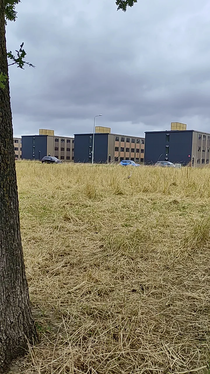 Aveve Maastricht - 3