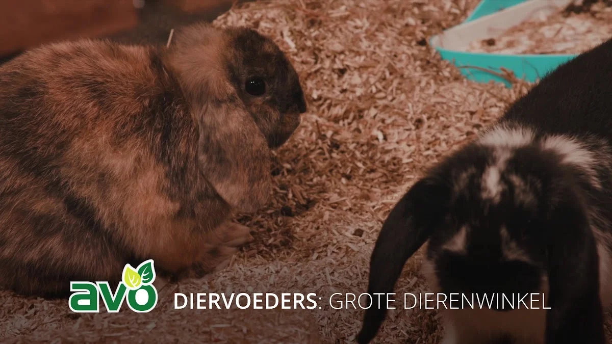 AVO Dier & Ruiter - 2