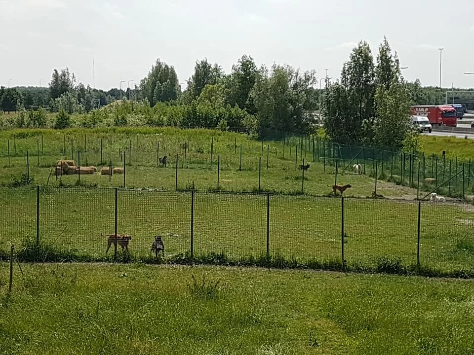 Banjer Dagopvang & Uitlaatservice