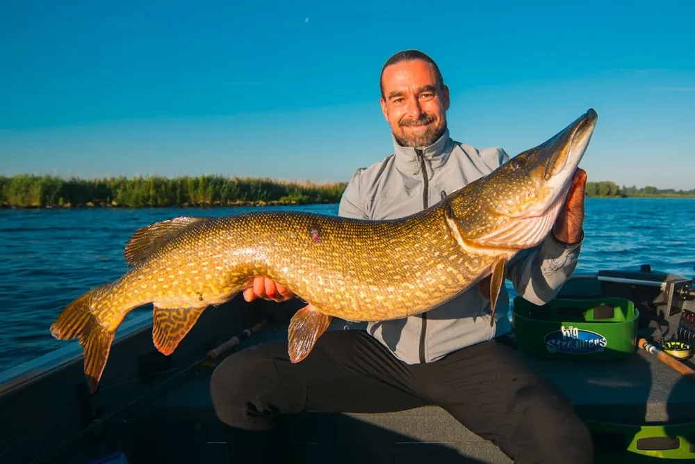 Bigstreamers