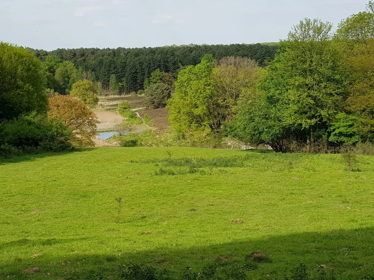 Brunssummerheide - 7