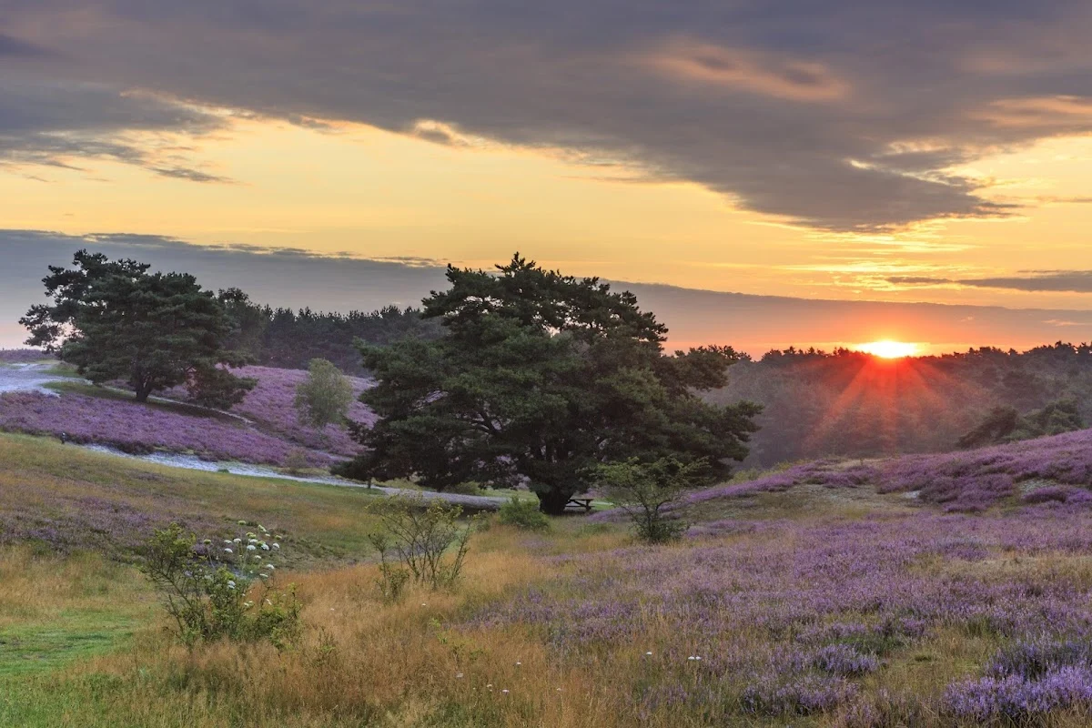 Brunssummerheide