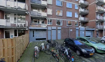 Cat Nanny