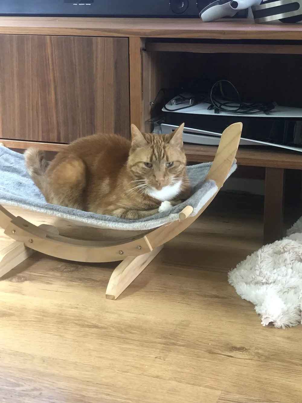 CatFuel