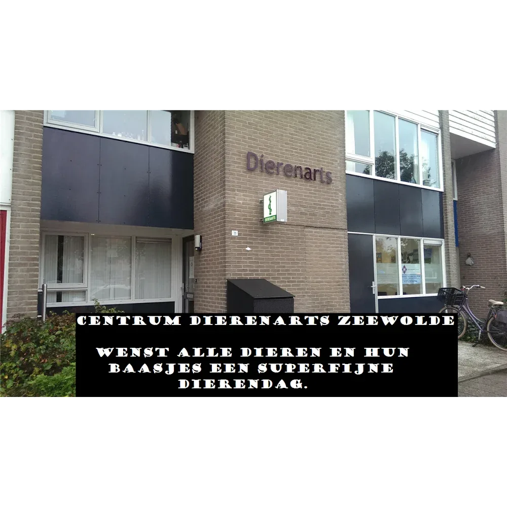 Centrum Dierenarts Zeewolde - 5