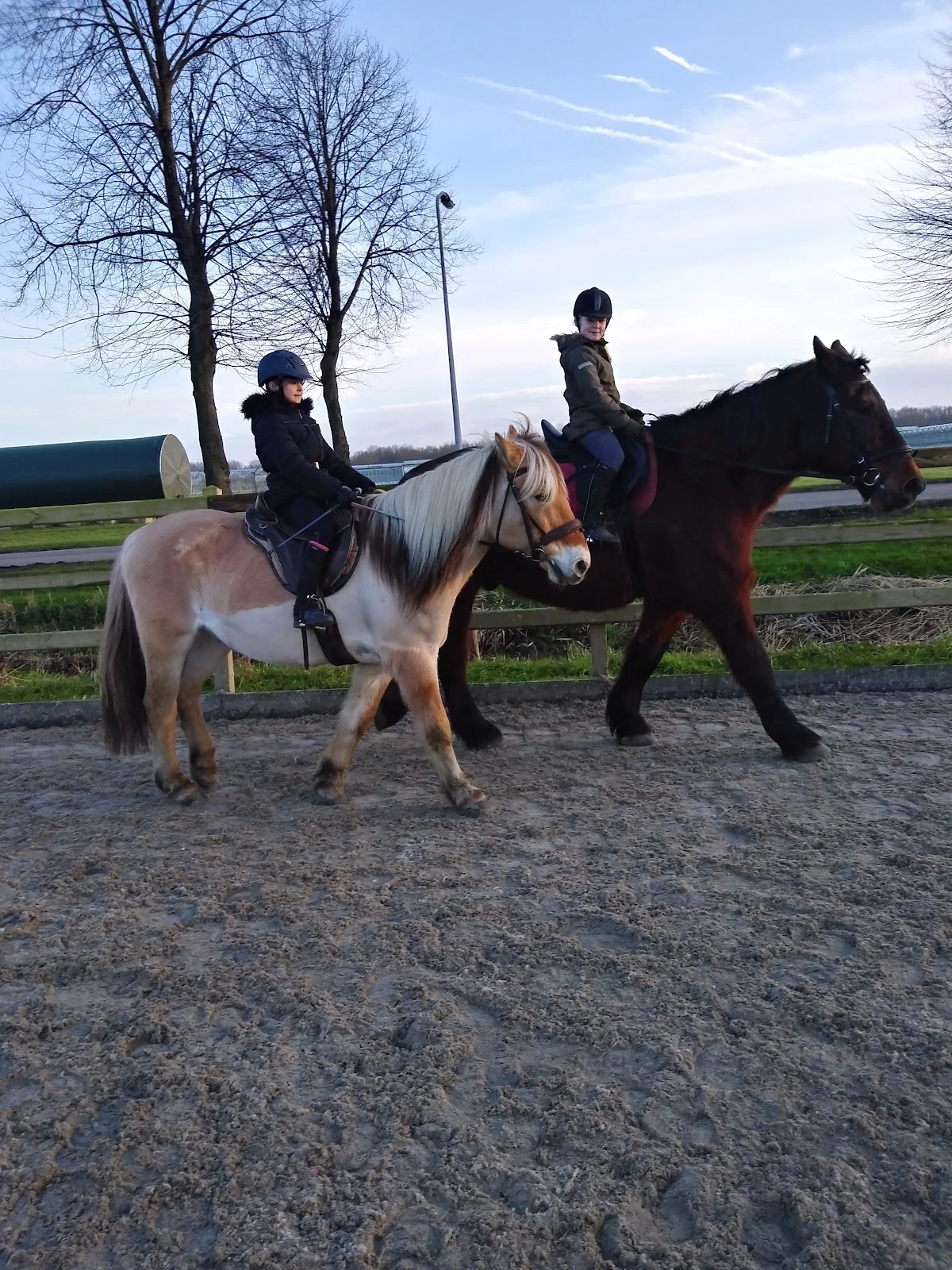 Connective Horses