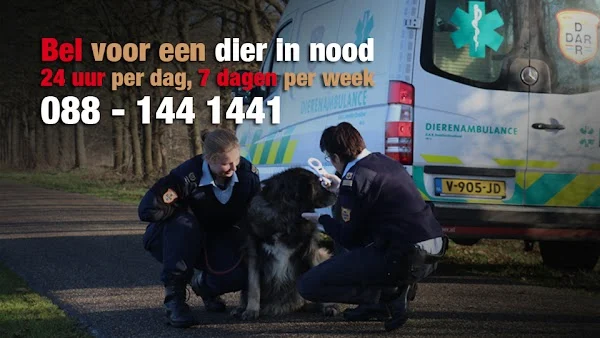 D.A.R. Dierenambulance Hoogeveen / De Wolden