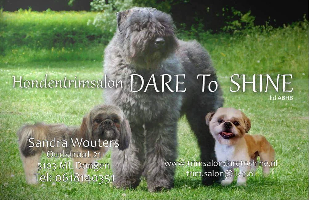 Dare To Shine Hondentrimsalon