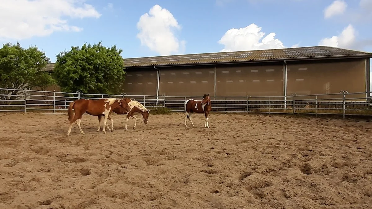 de Eagles Ranch