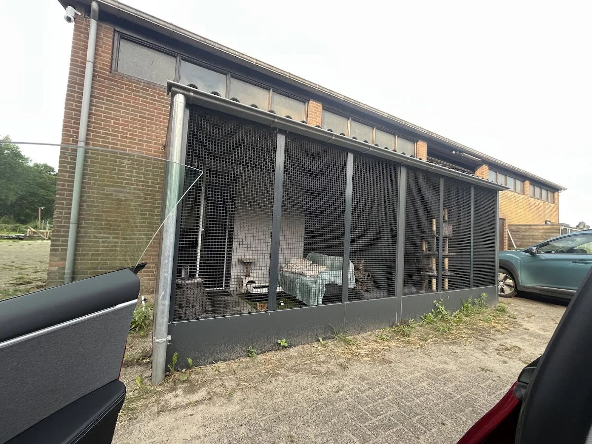 De kattenboerderie