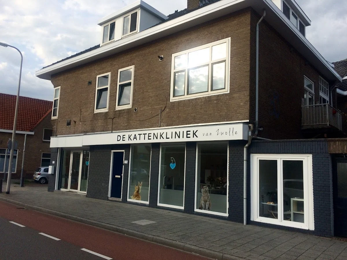 De Kattenkliniek van Zwolle