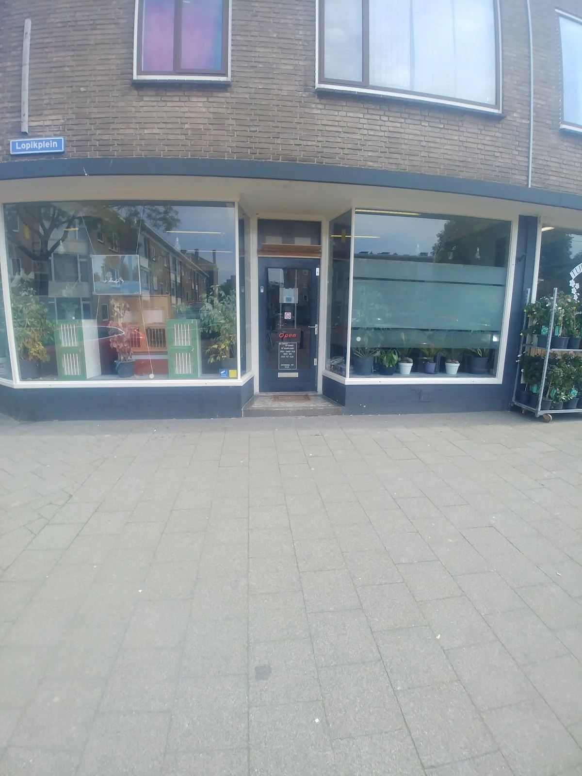 De Schakelroek