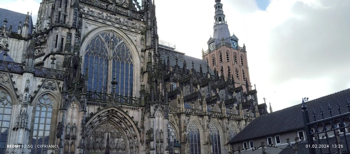 De Vughtse Poort Dierenartsen🐾🩺