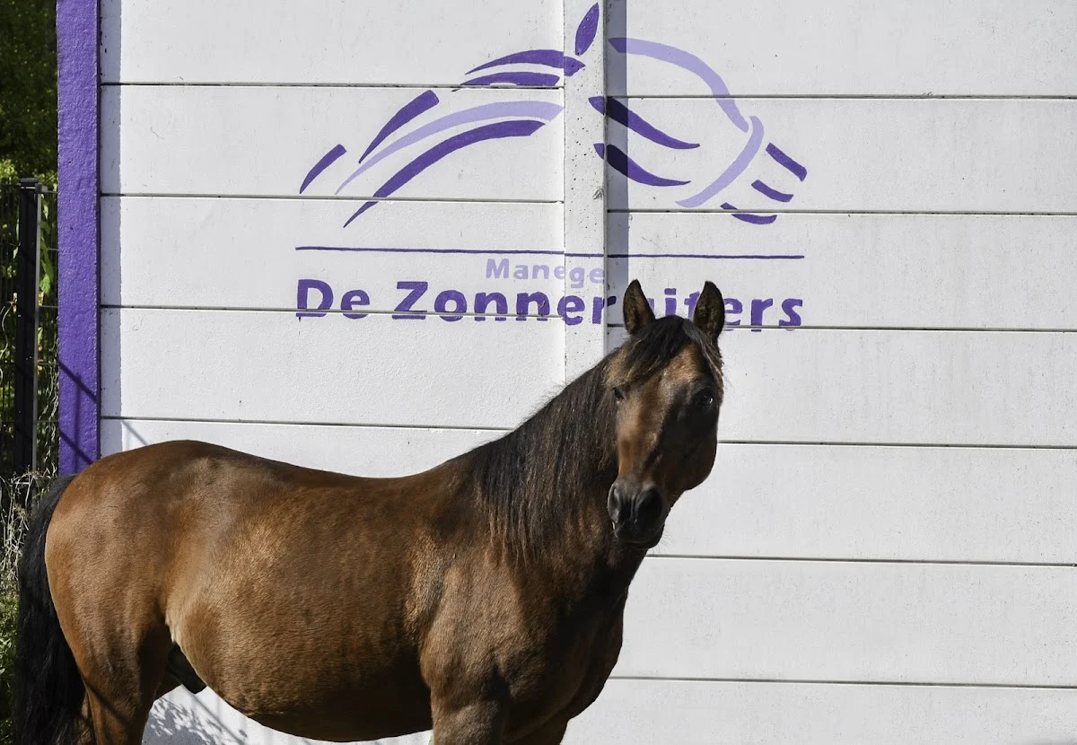 De Zonneruiters/ Stichting Bosch en Vaart
