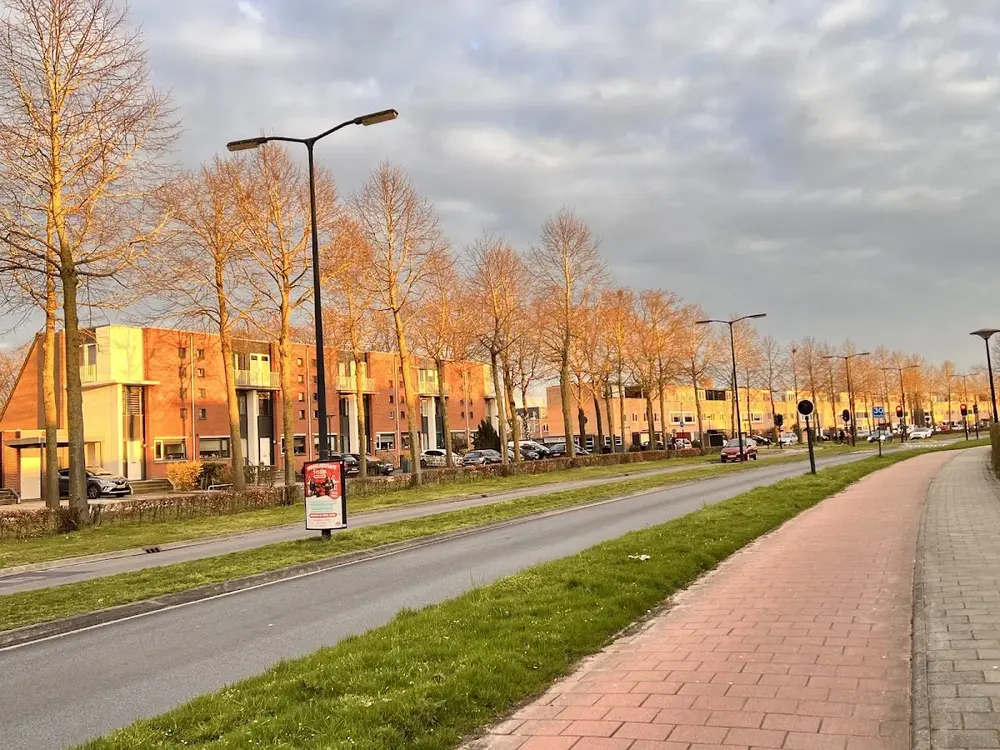 Dierenarts Deventer Colmschate Vijfhoek