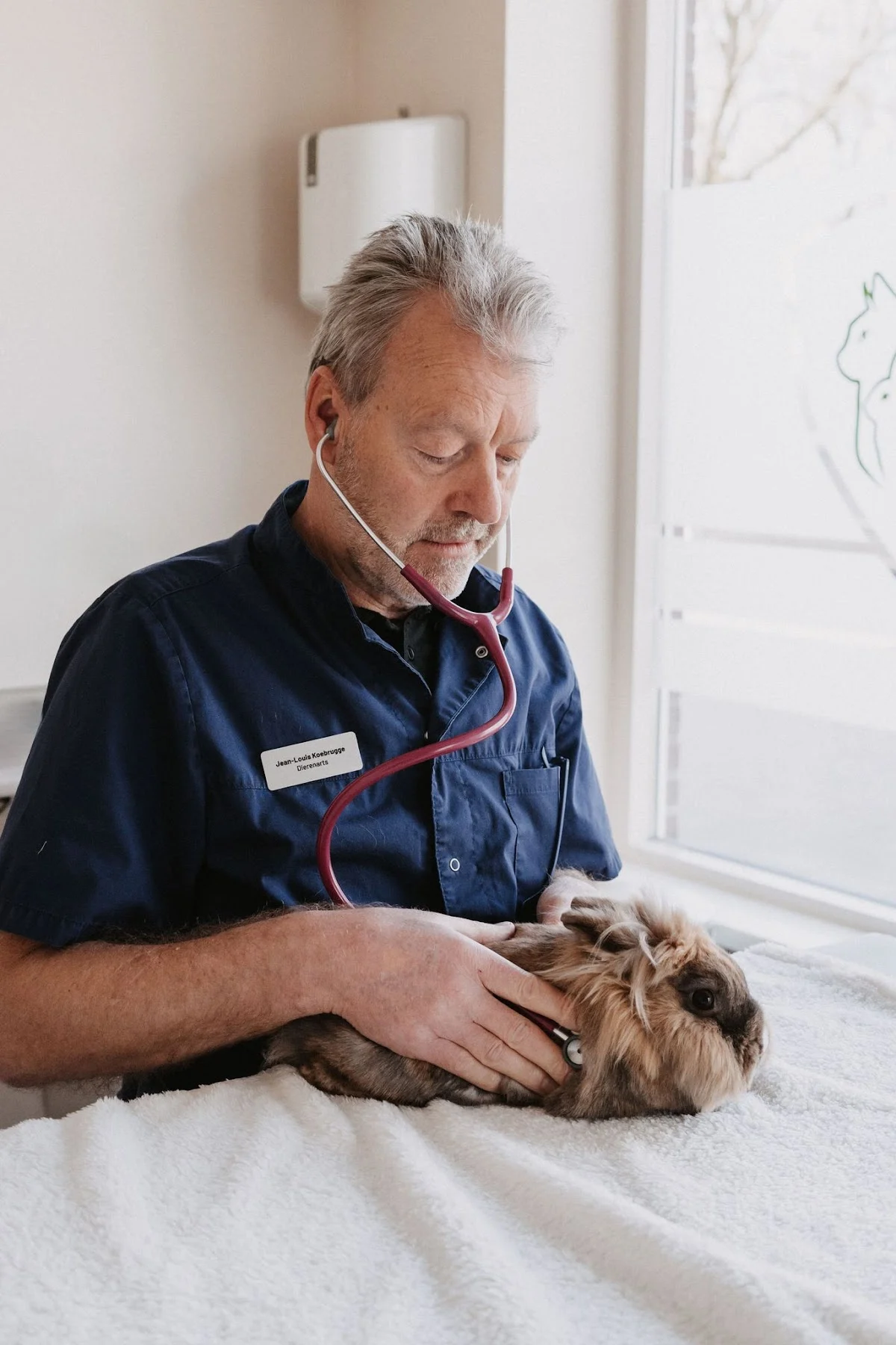 Dierenartsen Midden Brabant