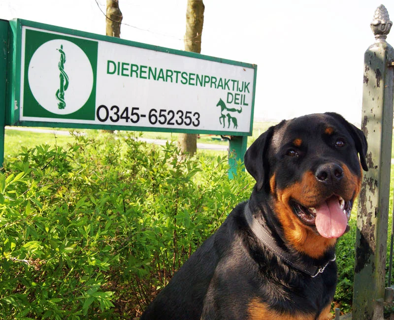 Dierenartsenpraktijk Deil