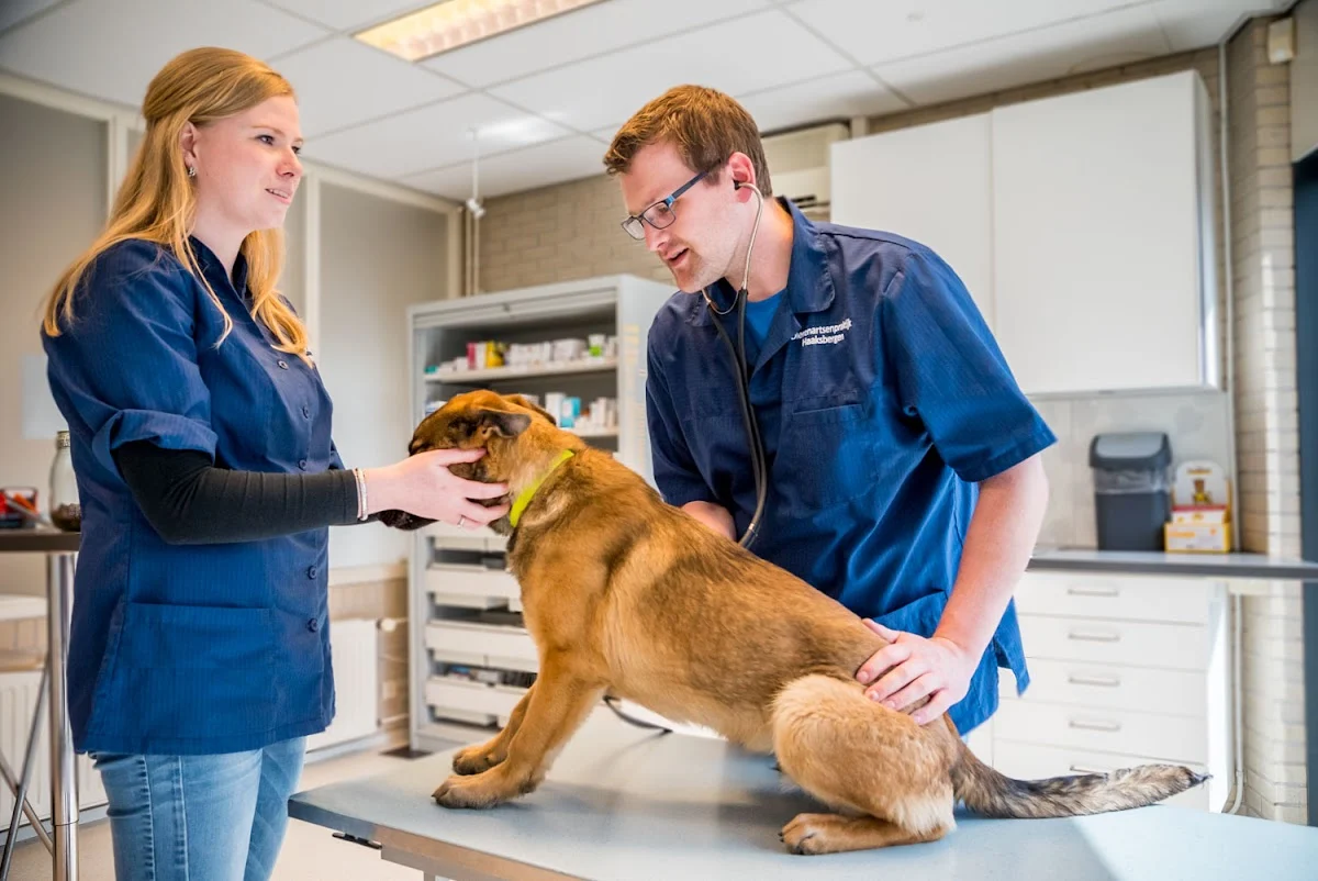 Dierenartsenpraktijk Haaksbergen