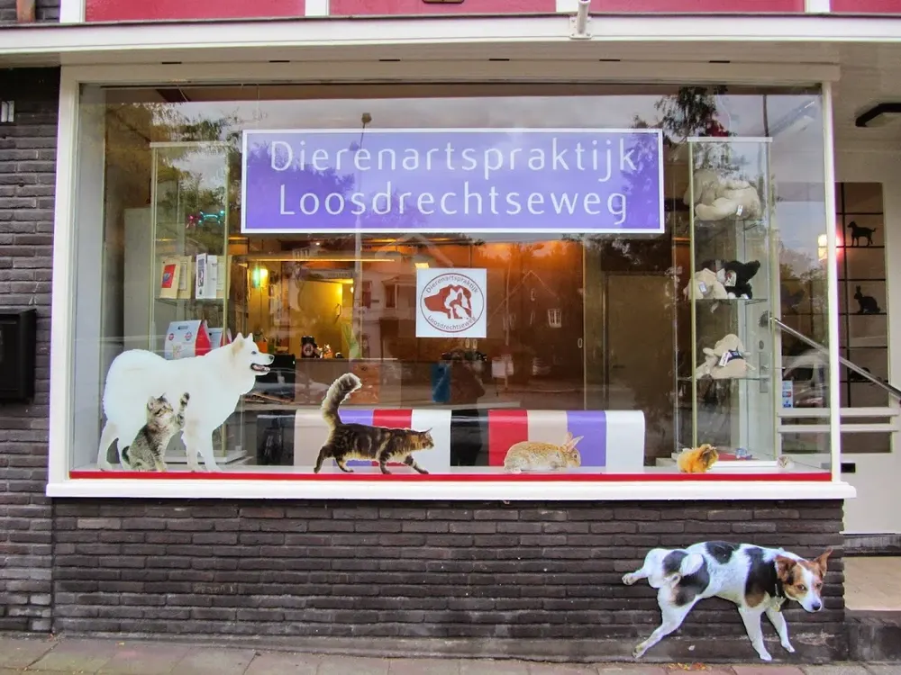 Dierenartsenpraktijk Loosdrechtseweg