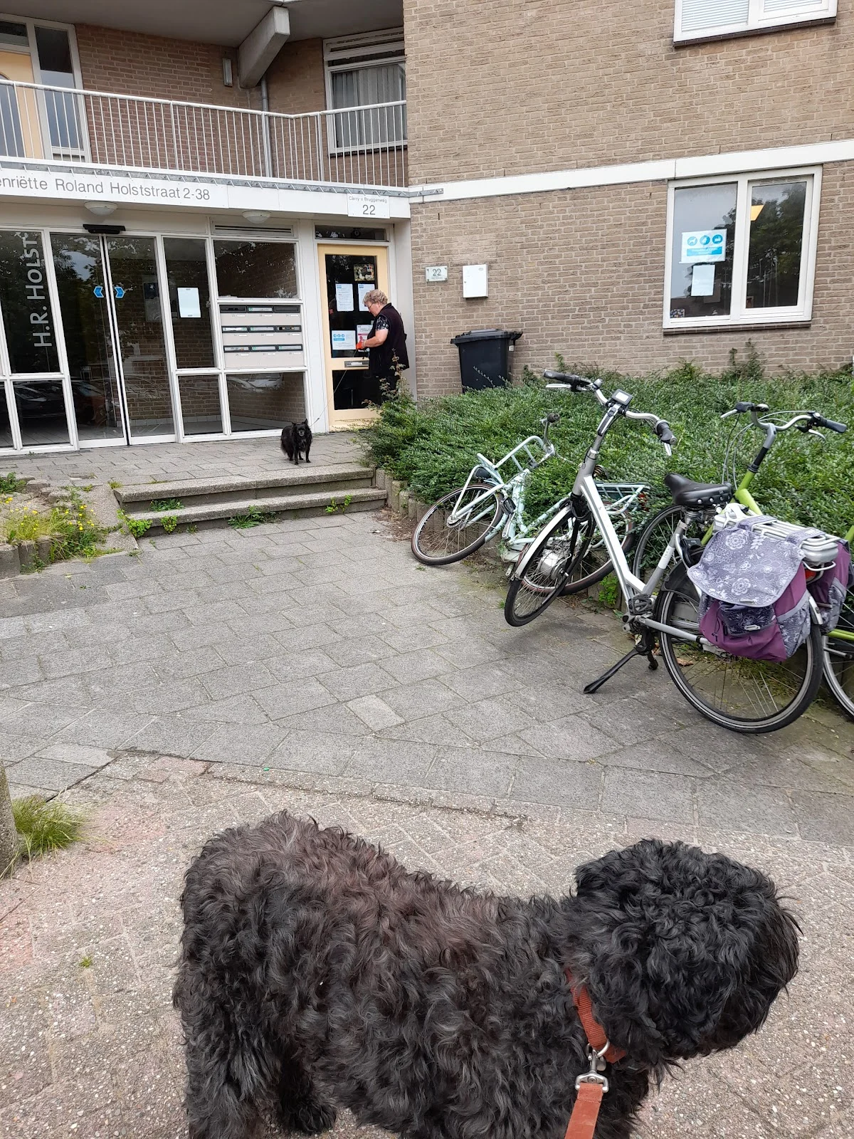 Dierenartsenpraktijk Stevenshof