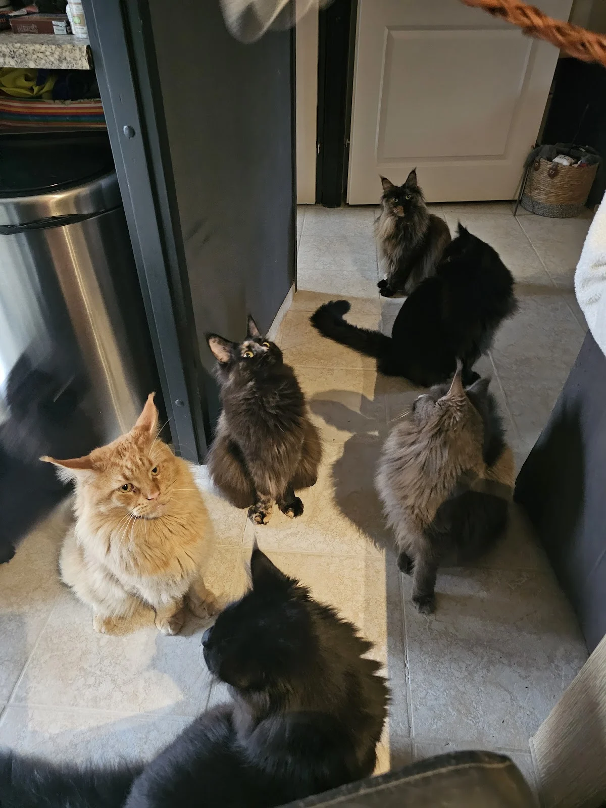 Dierenartspraktijk Zeewolde