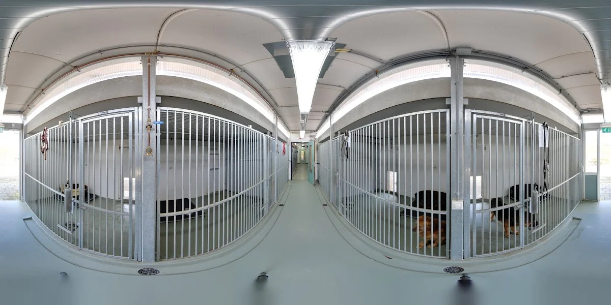 Dierenasiel De Kuipershoek - 4
