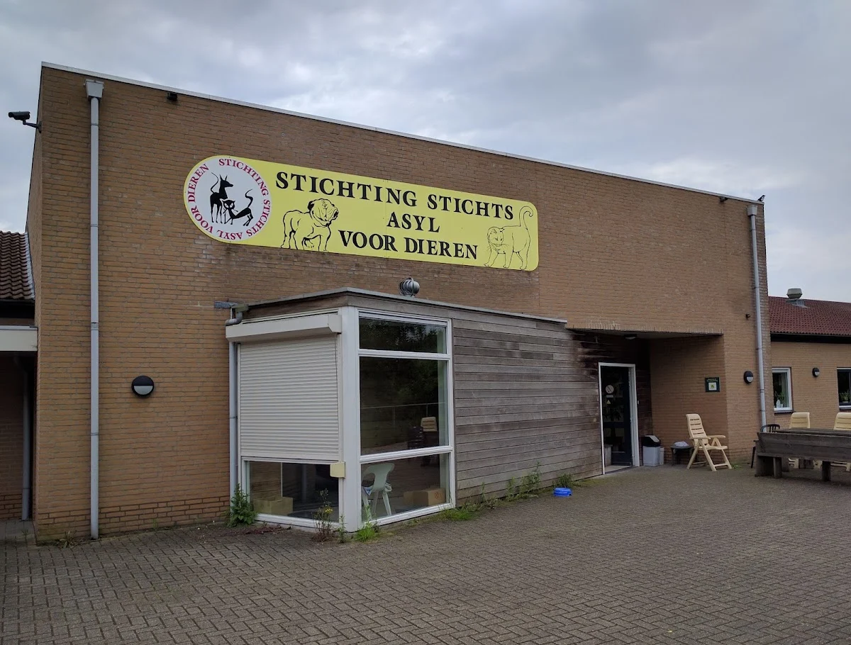 Dierenasiel Utrecht - 2