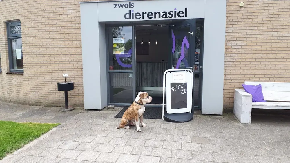Dierenasiel Zwolle - 2