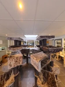 Dierencentrum de Ark - 2