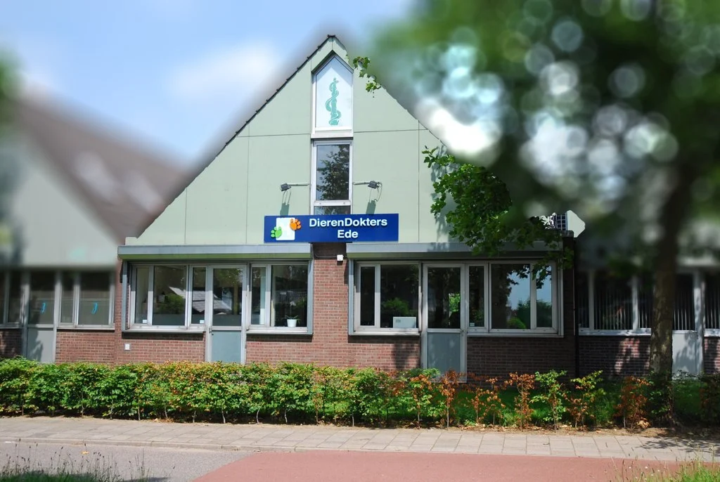 DierenDokters Ede