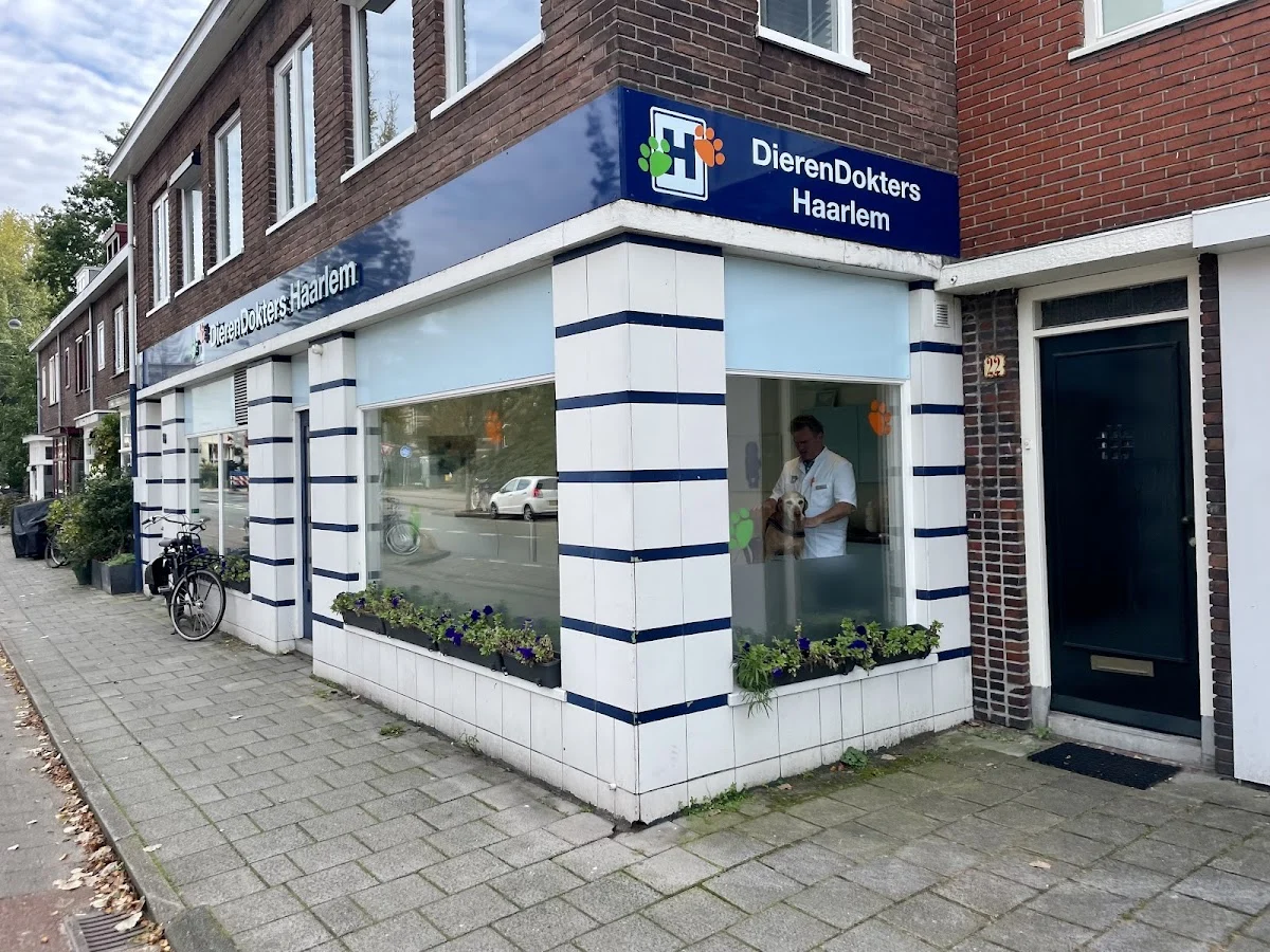 DierenDokters Haarlem