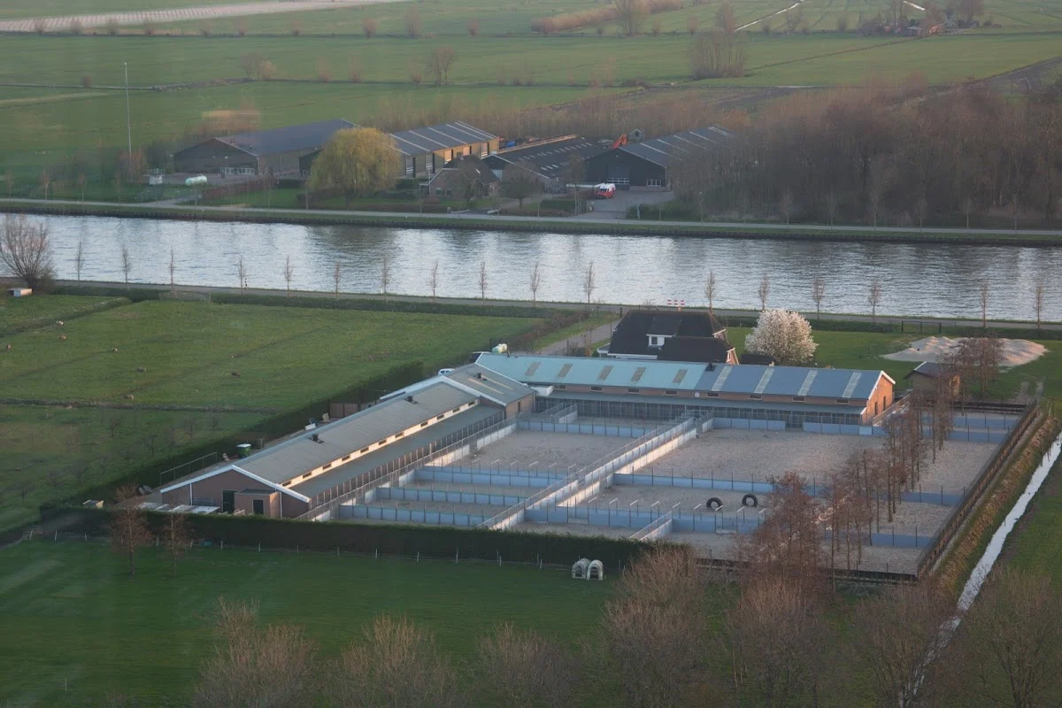 Dierenhotel de Hendrikshoeve - 2