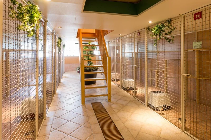 Dierenhotel Disorojo