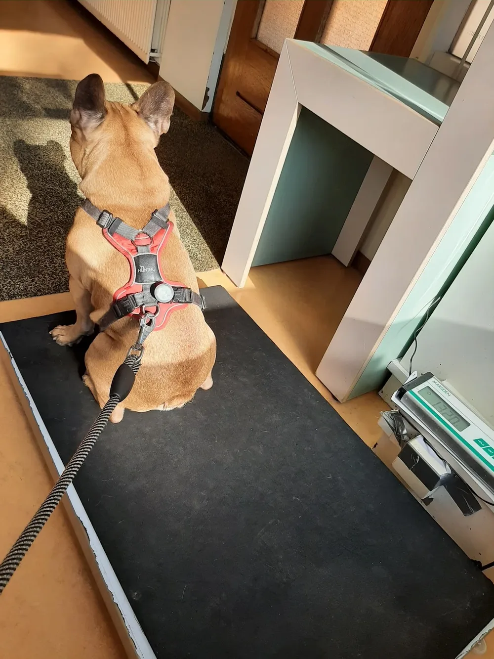 Dierenkliniek Aan de Laan🐾🩺