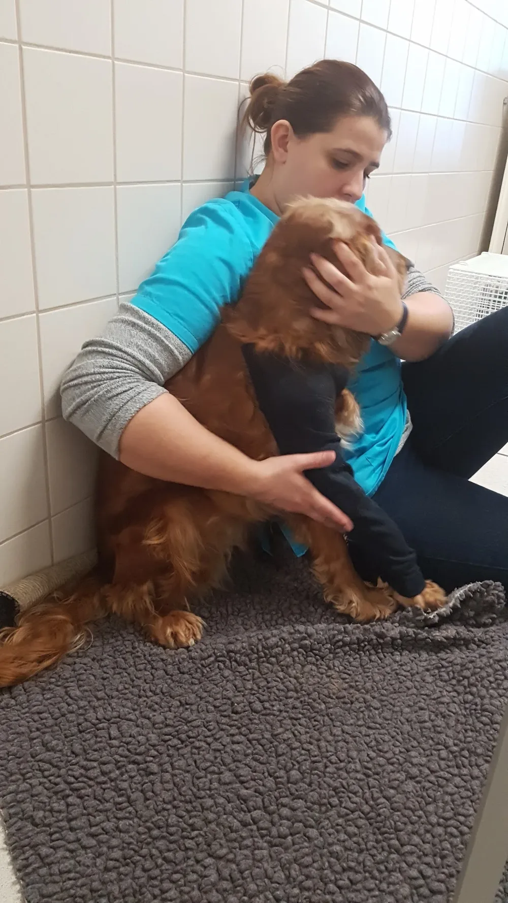 Dierenkliniek Caberg - 3